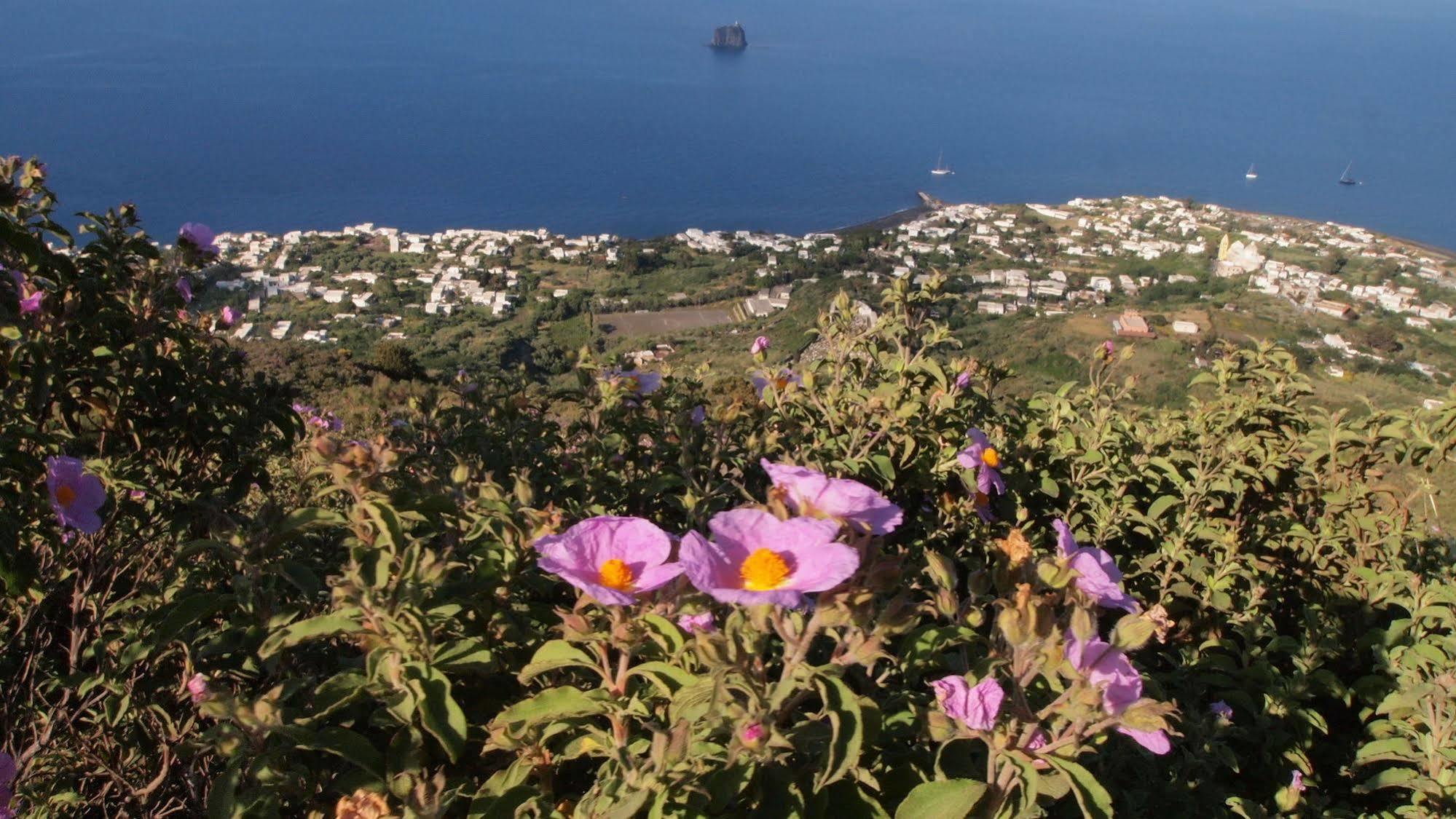 Il Vulcano A Piedi Стромболи Екстериор снимка